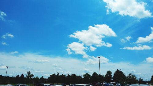 Low angle view of trees against blue sky