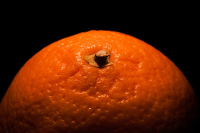 Close-up of pumpkin against black background