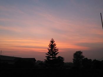 Silhouette trees against orange sky