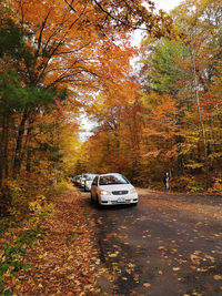 Car on road amidst trees during autumn