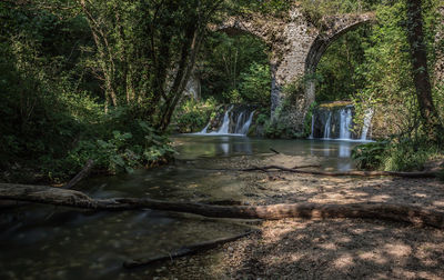 Scenic view of waterfall in forest