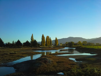 Scenic view of lake against clear blue sky