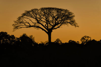 silhouette