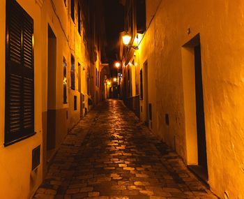 Narrow alley along buildings at night