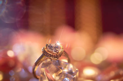Close-up of spider
