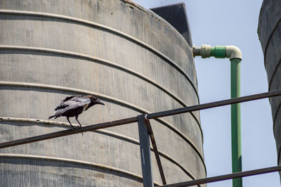 Low angle view of bird on water tower against clear sky