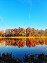 Scenic view of lake by trees against blue sky