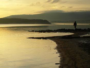 Silhouette man on beach against sky during sunset