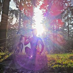 Sun shining through trees