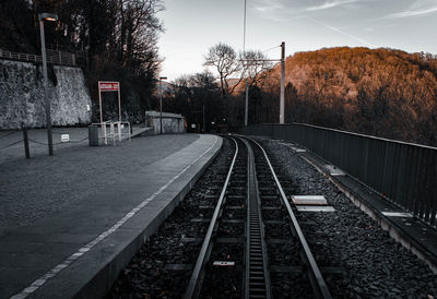 Railroad tracks amidst trees against sky