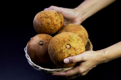 Close-up human hands holding ripe santol fruit on wicker basket