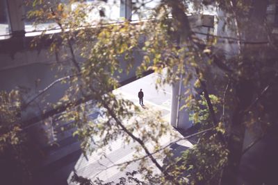 High angle view of man standing by building on sunny day