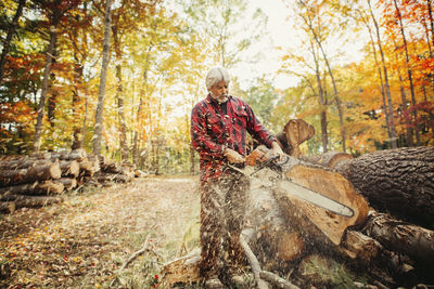 Lumberjack cutting log with chainsaw in forest
