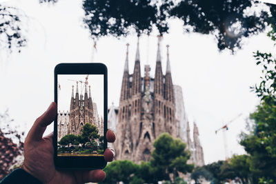 Cropped hand of man photographing with mobile phone against trees