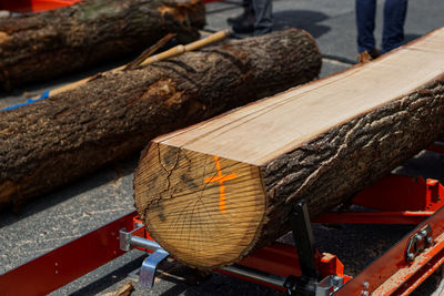 Close-up of log on wood
