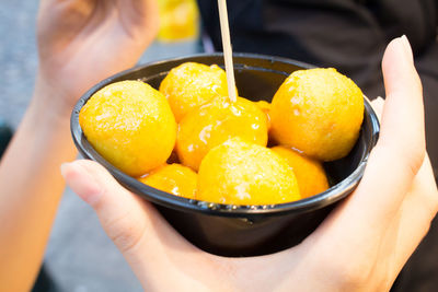 Close-up of person holding fruits
