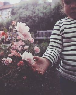 Close-up of woman holding pink flower tree