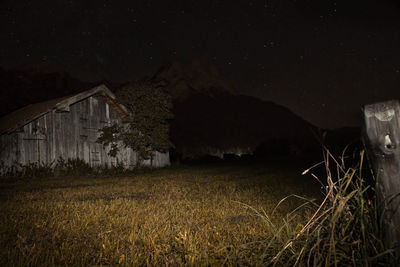 Plants growing on field against sky at night