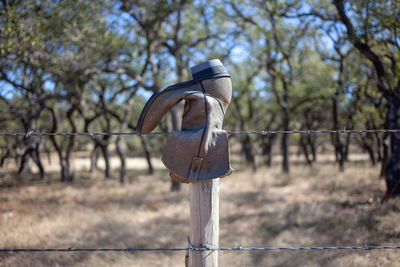 Rear view of metal fence against trees
