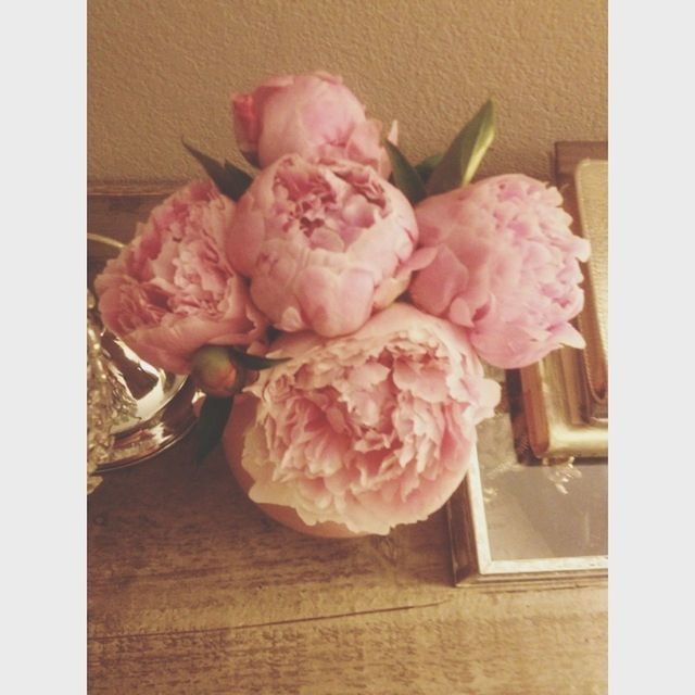 flower, indoors, freshness, transfer print, petal, pink color, rose - flower, fragility, flower head, table, vase, auto post production filter, close-up, pink, beauty in nature, rose, still life, nature, no people, single flower