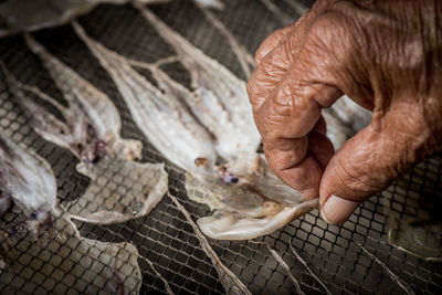 Cropped image of hand preparing seafood