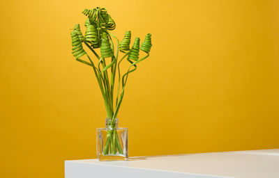 Glass transparent vase with green dried flowers on a white table, yellow background