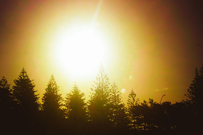 Trees against sky during sunset