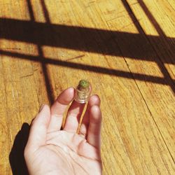 Close-up of cropped hand