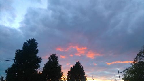 Low angle view of trees against cloudy sky