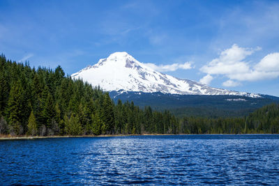 Scenic view of lake by trees against sky