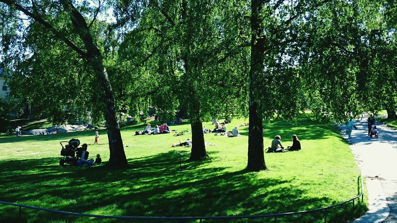 Vasaparken