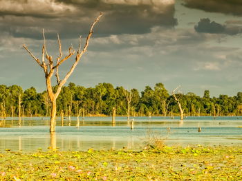Scenic view of lake against sky