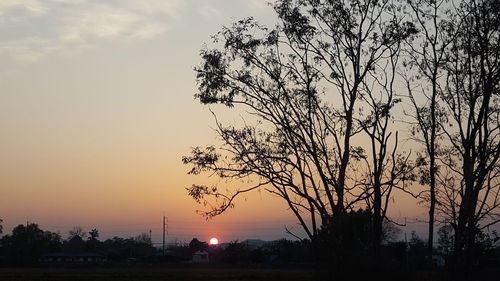 Silhouette trees against sky during sunset