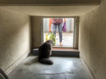 Rear view of boy looking away at home