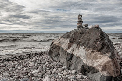 Driftwood on rock by sea against sky