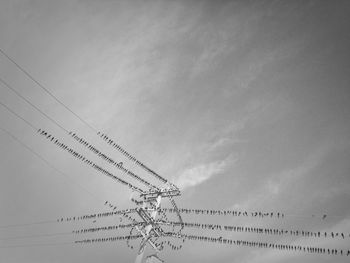 Low angle view of birds on cable against sky