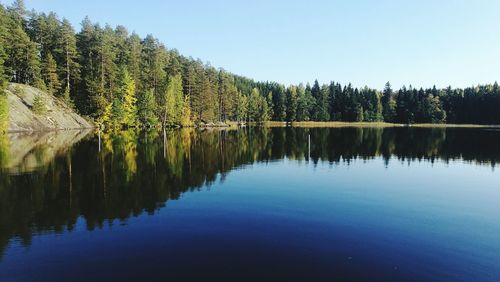 Scenic view of lake in forest against clear sky