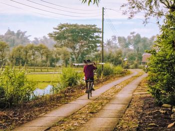 Rear view of man riding bicycle on road