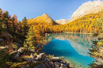 Scenic view of lake by trees against sky