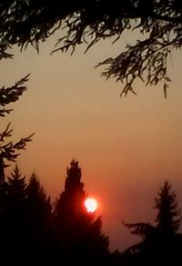 Silhouette trees against sky during sunset