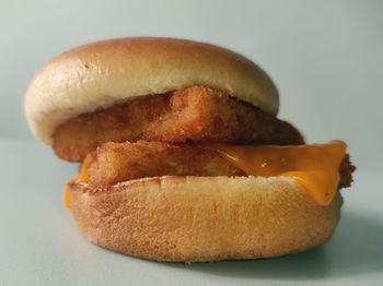 Close-up of hot dog against white background