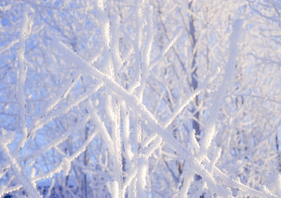 Full frame shot of snowflakes on field