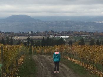 Rear view full length of woman standing at vineyard in city