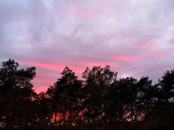 Silhouette trees against sky during sunset