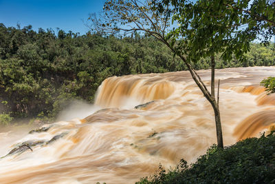 View of waterfall in forest