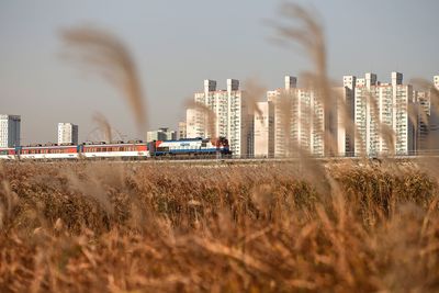 Modern buildings in field with city in background