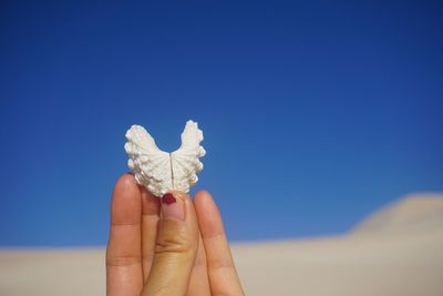 Close-up of person holding ice against blue sky