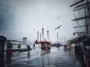 Boats in harbor