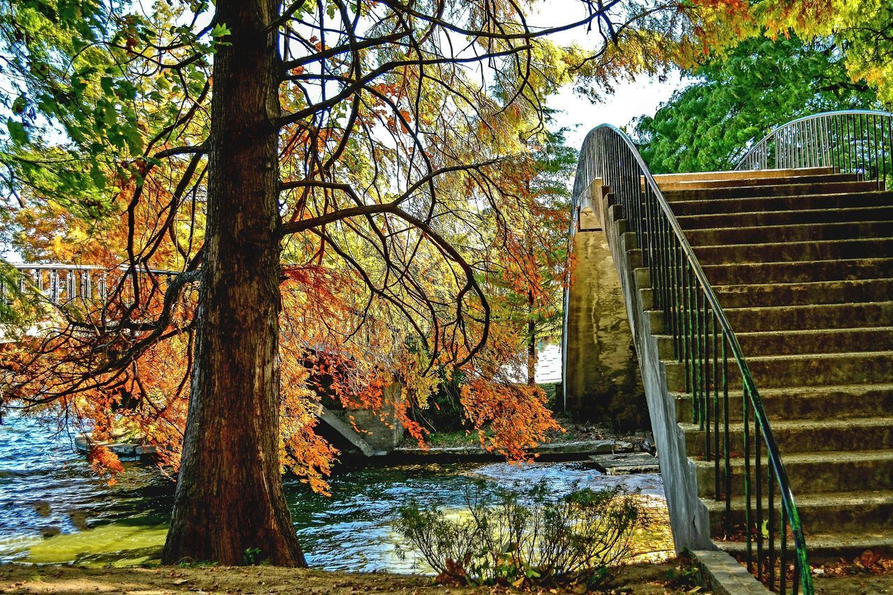 VIEW OF BRIDGE OVER RIVER IN FOREST DURING AUTUMN