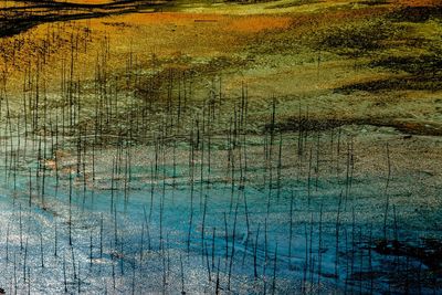 Close-up of water during winter